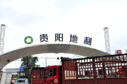 地利集團十家農(nóng)批市場榮膺2018年度全國百強，彰顯農(nóng)產(chǎn)品流通行業(yè)標桿力量