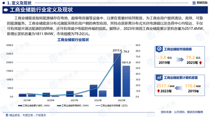 2025-2031年中國工商業儲能行業市場現狀調查及未來趨勢研判 電容器及其配套設備的機遇與挑戰